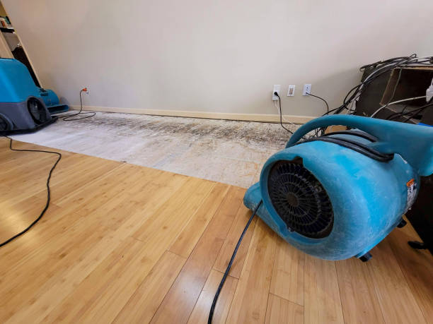 Professional Structural Drying technician working in Steele, MO